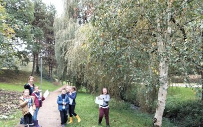 Les arbres au fil des saisons