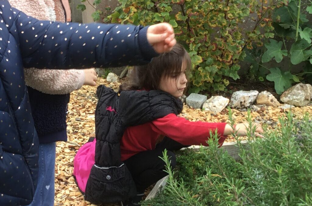 Jardin partagé CP.C et CE2.B