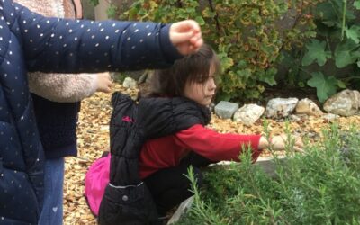 Jardin partagé CP.C et CE2.B