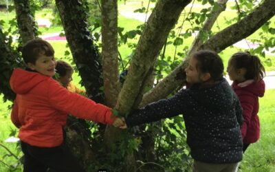 Sortie en Forêt, le printemps