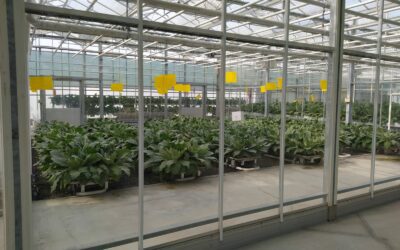 La ferme aux insectes