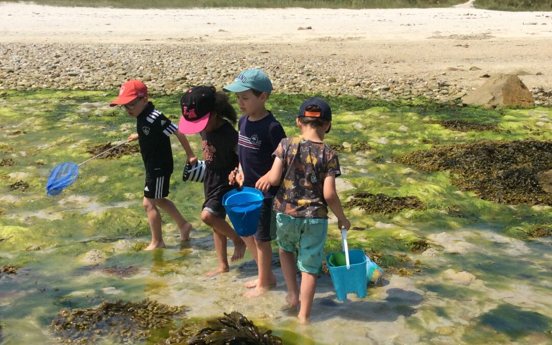 Sortie à l&rsquo;île de Batz