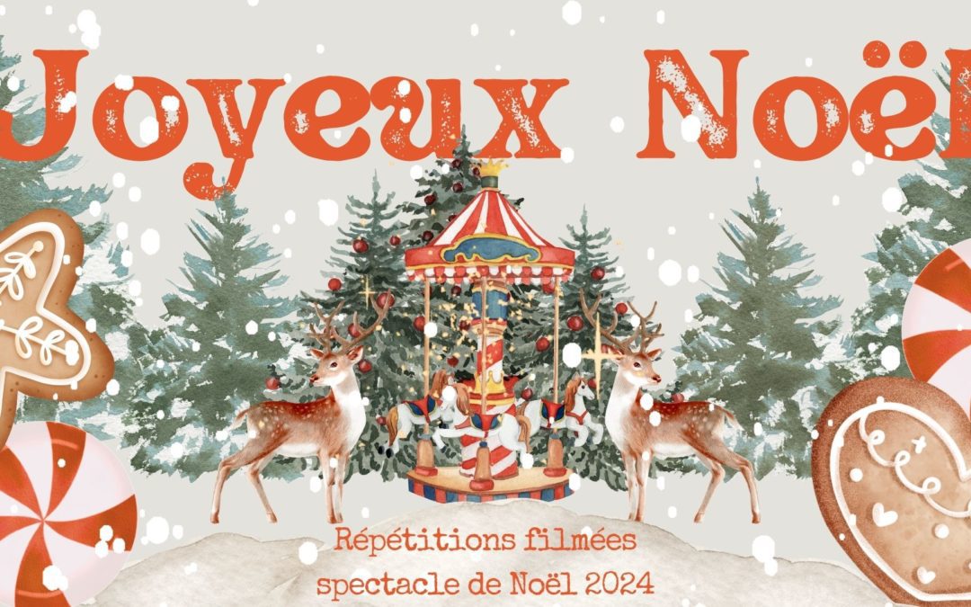 Spectacles de Noël – Maternelles