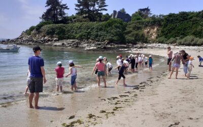 Ile de Batz 2026